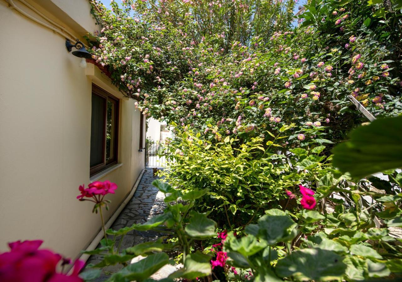 Вилла Elisavet'S House Платаньяс Экстерьер фото
